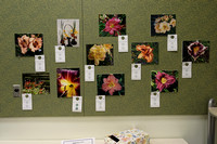 2015-06-27 Daylily Show